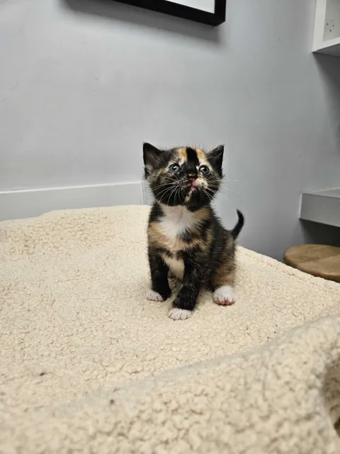 New member of the family!