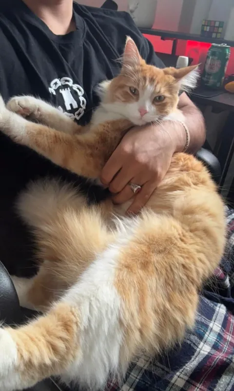 Buddy was homeless a couple months ago