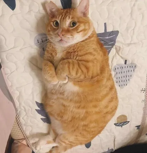 I can't get over this photo 😭