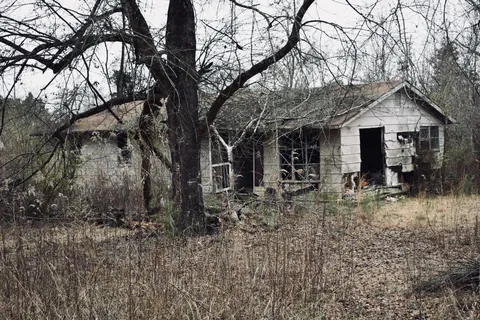 The house I grew up in. Long abandoned.