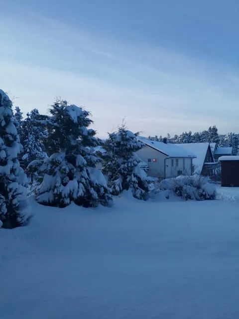 The view from my desk in Norway.