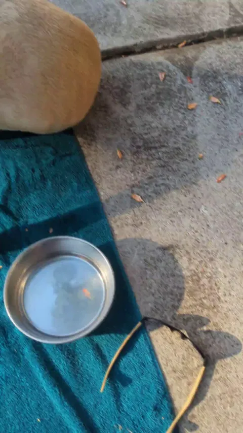 She wants this all day