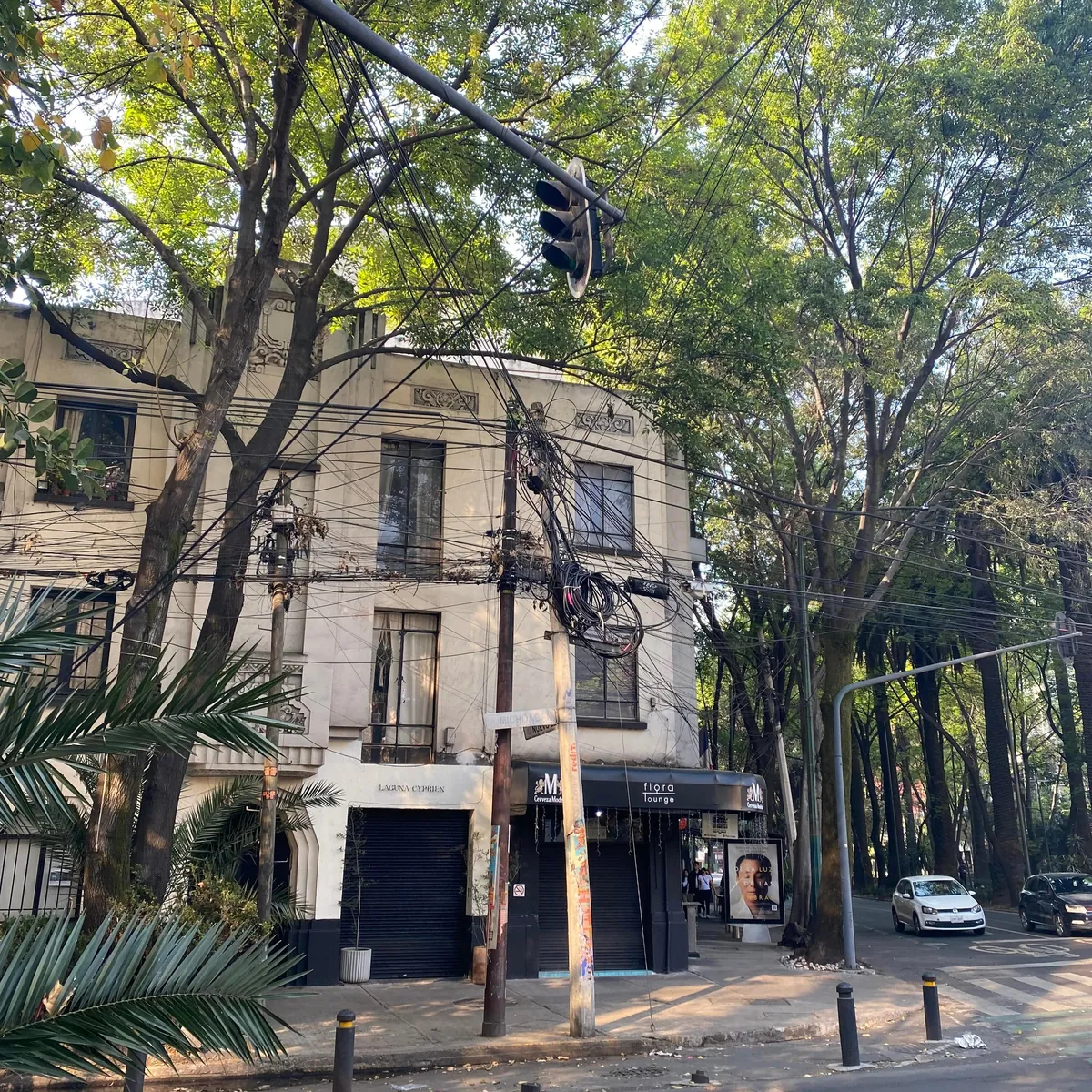 Mexico City had the Lushest, Greenest, Most Beautiful Neighborhoods I've Ever Seen