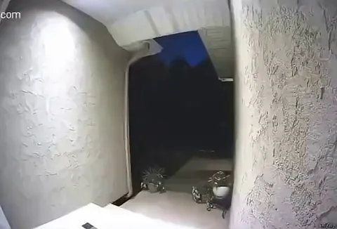 Dad understood the assignment