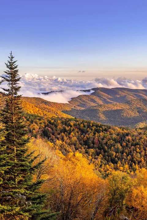Blue Ridge Mountains from a previous fall. [OC] 1366x2048