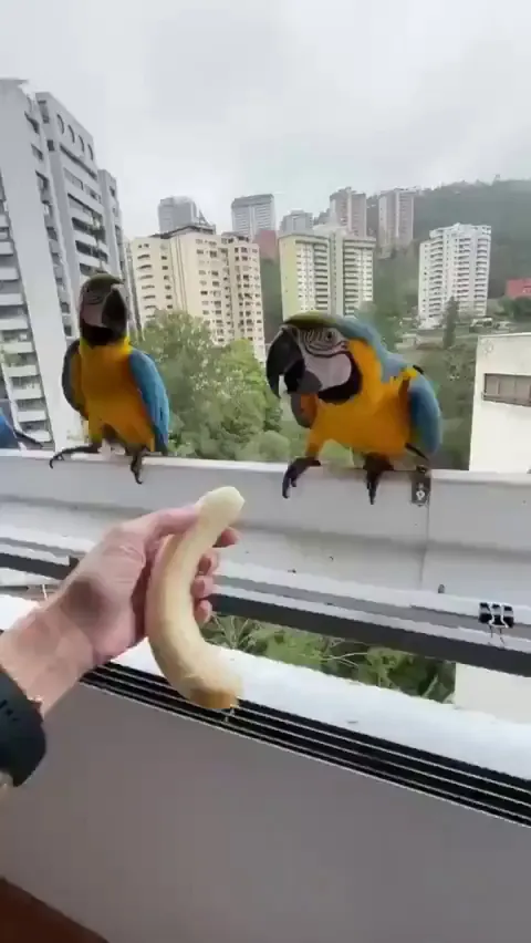 This is the best thing i've seen today!!