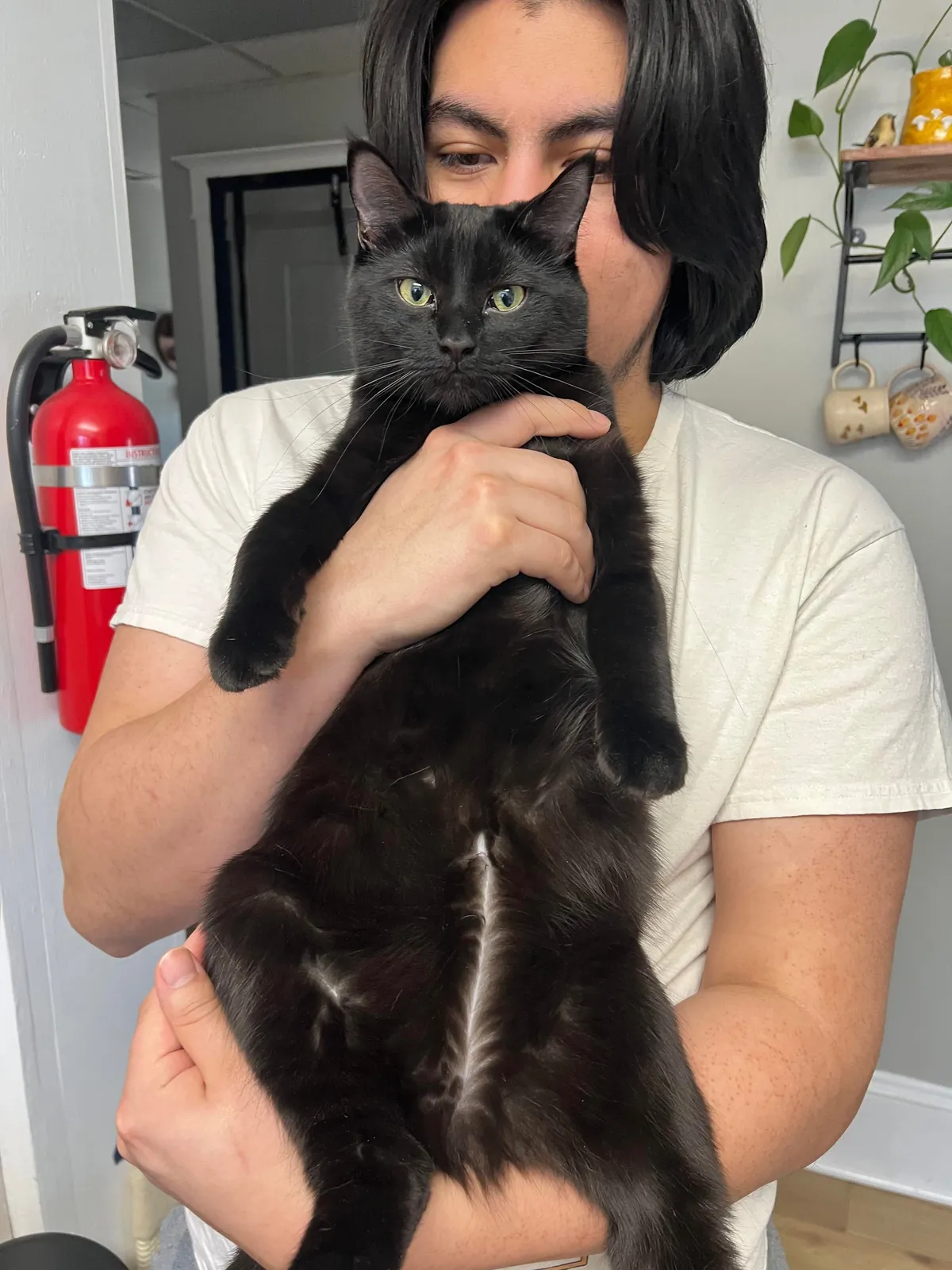 The vet called him chubby