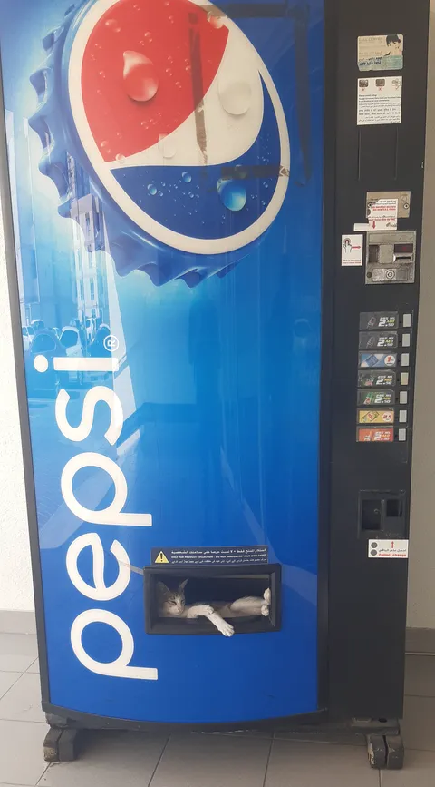 Poor guy was feeling so hot outside