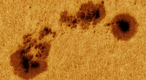 Today's sunspots AR3712 under excellent condition (Credit: Tom Williams)