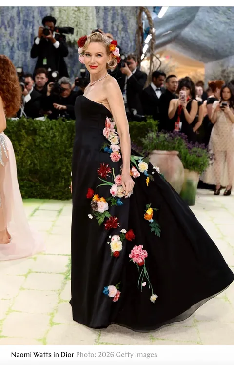 Artistic Looks At The Met Gala You Probably Missed