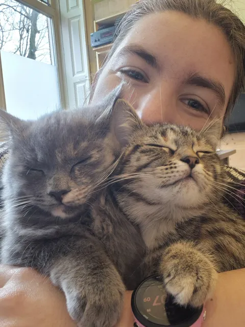 My cats' fur smells like honey and fresh laundry 😻 I wanna know what your kitties smell like, too!