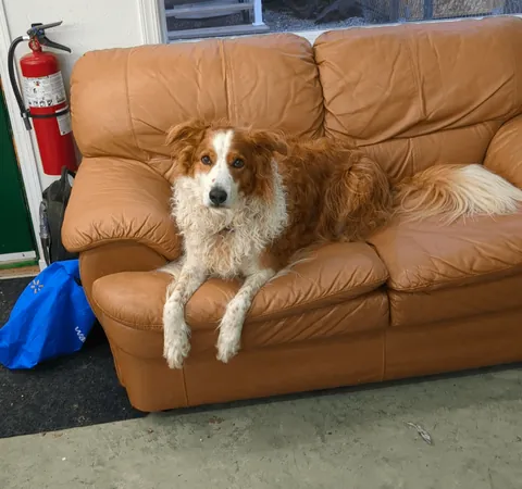 Finally Finished the shop