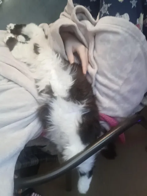 She might have a favourite sleeping position