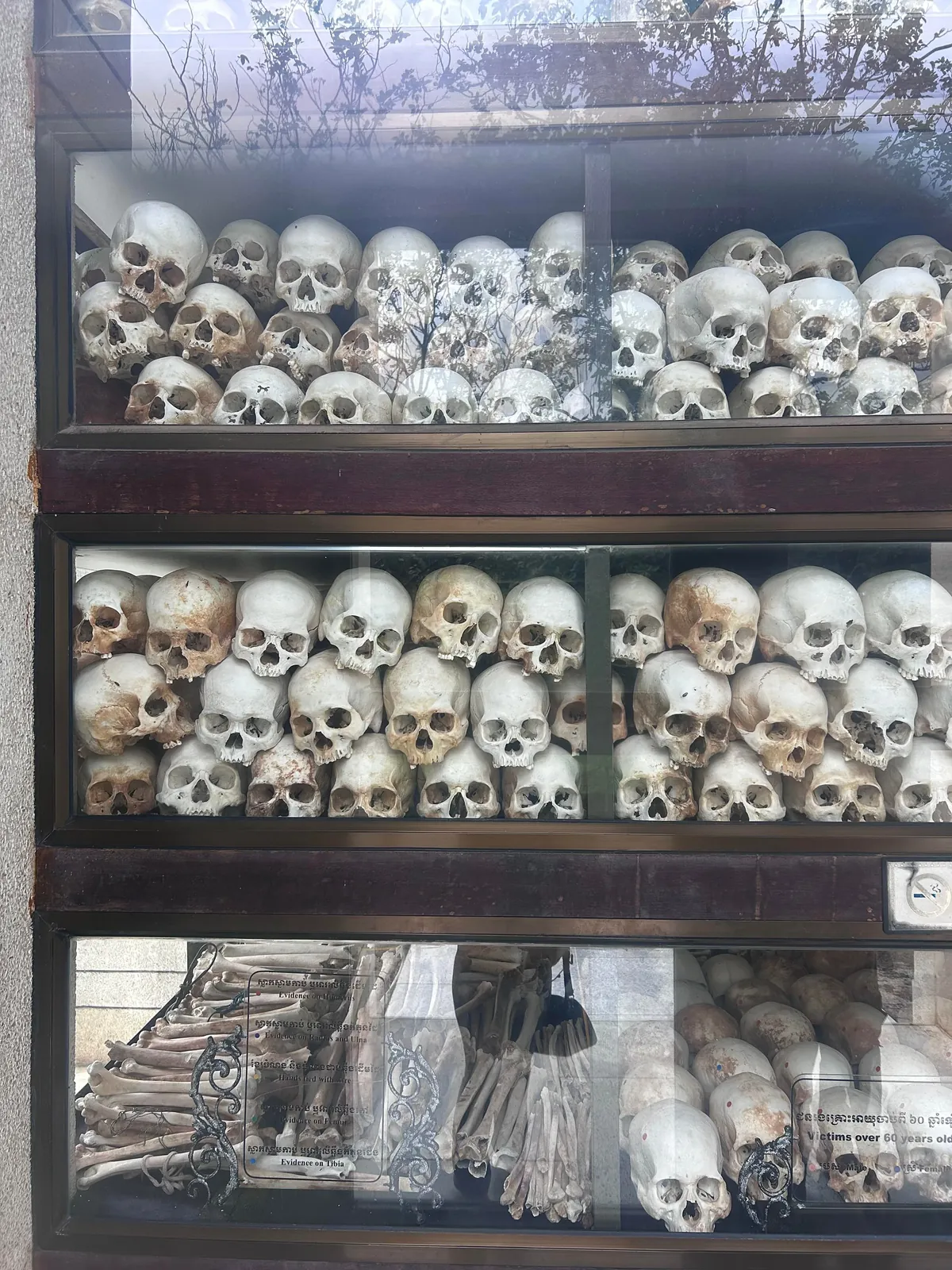 2 weeks in Cambodia 🇰🇭