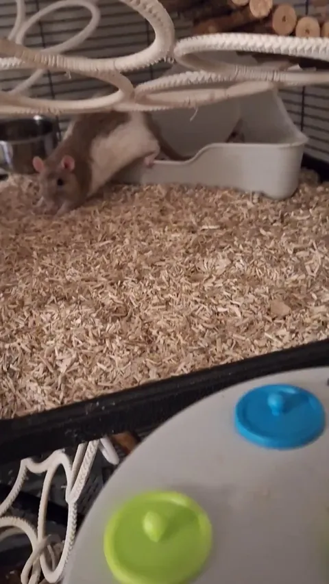 Are they too smart or am I too dumb?