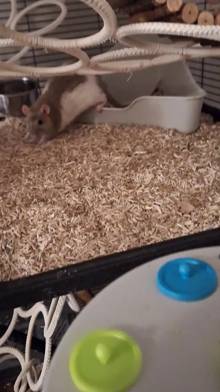 Are they too smart or am I too dumb?