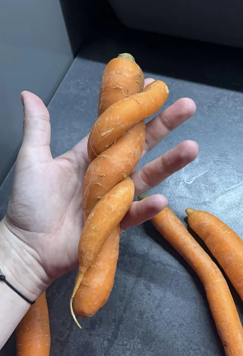A carrot wrapped around a carrot