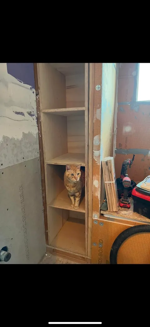 My husband and his cat remodeled our bathroom. He’s a tough foreman (the cat)