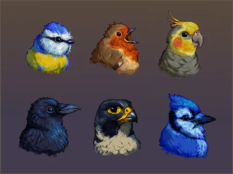 Some bird portraits 🐤