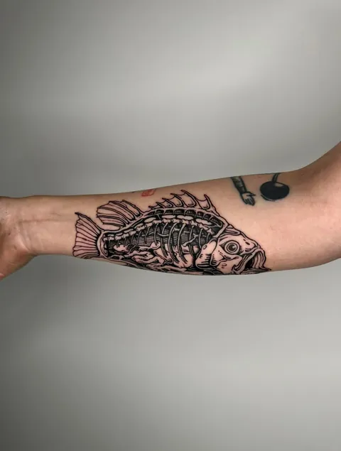 Freehand fish dissection I got to do as part of a trade at my shop! Tough n Tender, Berlin Germany