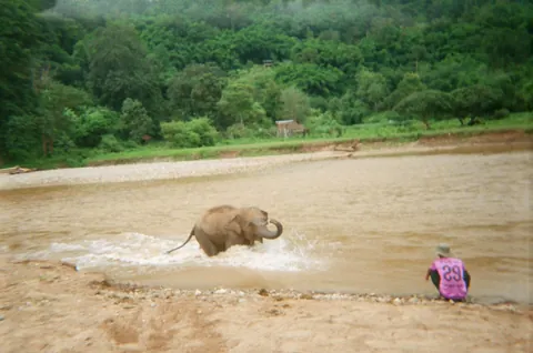 Thailand June/July 2025 captured on a disposable film camera