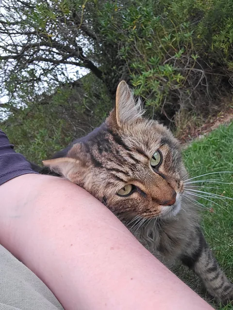 Met this kitty two days ago and we're already besties