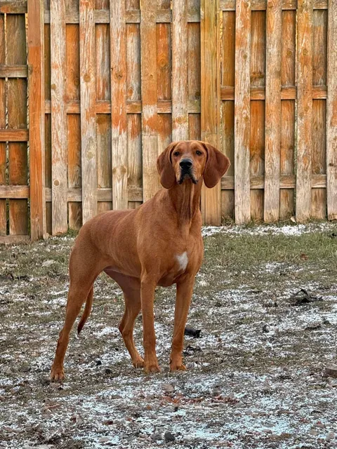 My fav pic of my girl🧡