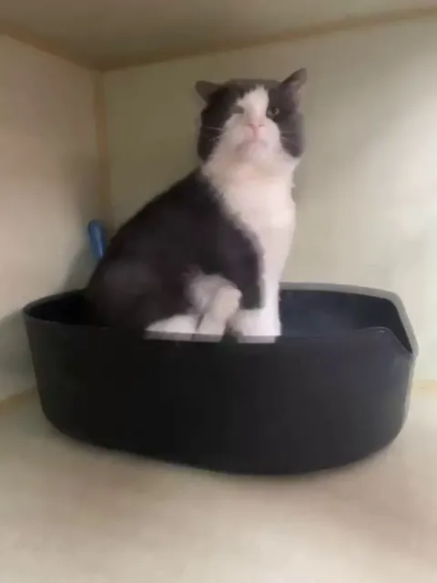 Géode from our shelter had a little scratching moment.