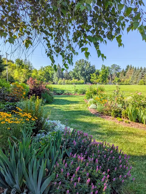 Spent all weekend cleaning up the garden and got a sunburn. Worth the pain though.