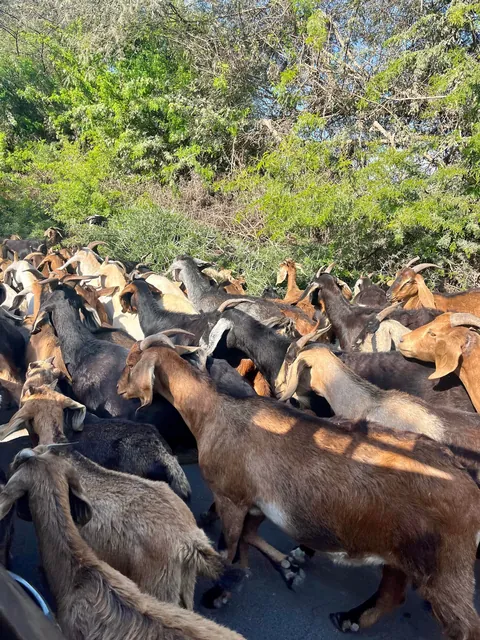 My trip to Peru 🇵🇪