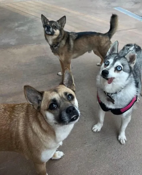 one plotting one panicking one …. perplexed lol