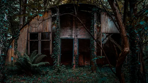 A former RAF base, now lost in the woods