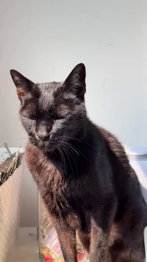 my elderly void