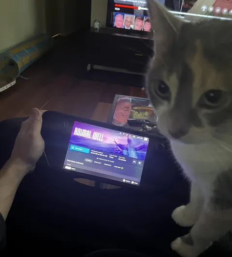 The perfect game for the steamdeck 