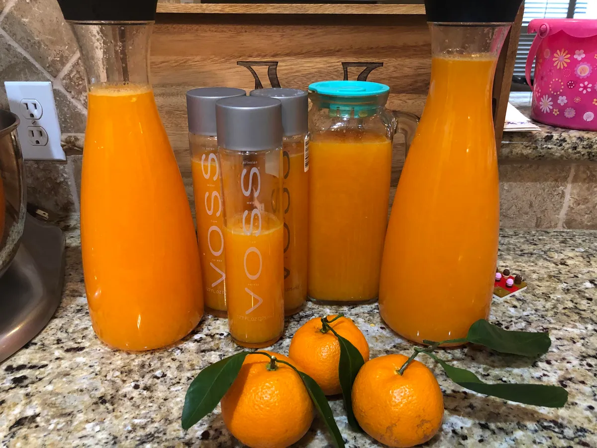 Orange Juice squeezed from my Tree