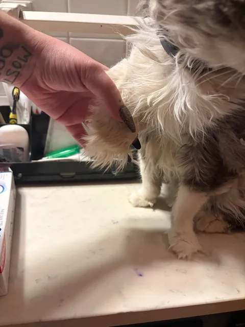 Need advice on rescuing elderly cat from living in a bathroom