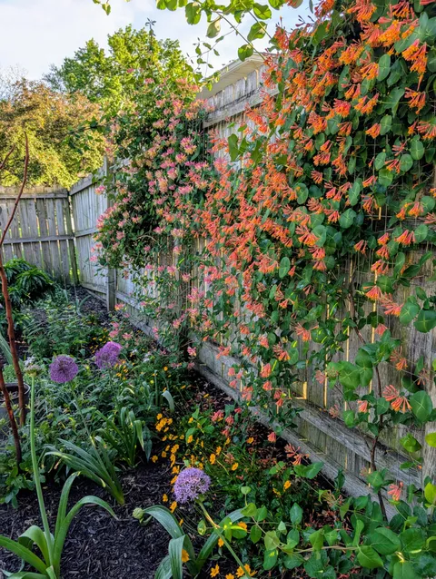 My little slice of heaven