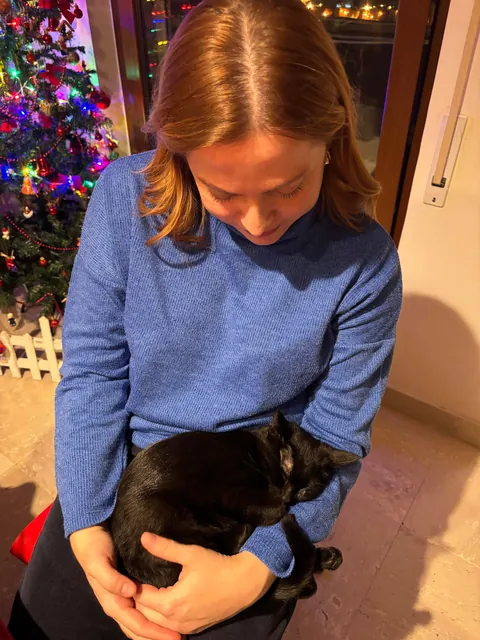 went to a friend's for xmas and met their new kitten, I think she liked me