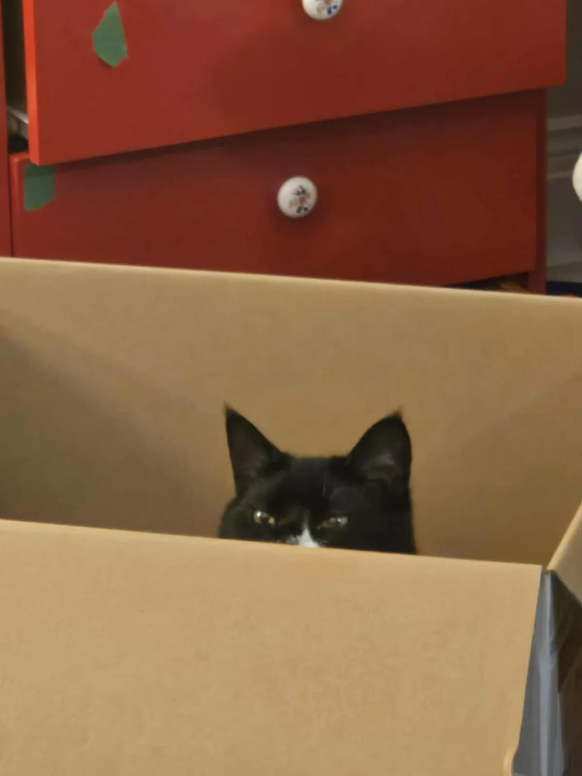 People like my Boi sprig, so i decided to show more. Enjoy