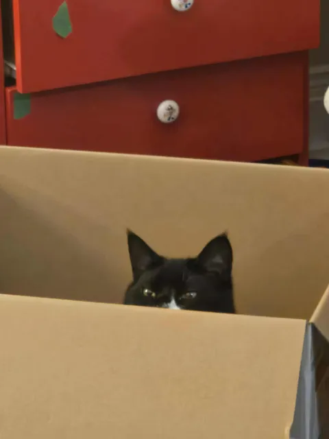 People like my Boi sprig, so i decided to show more. Enjoy