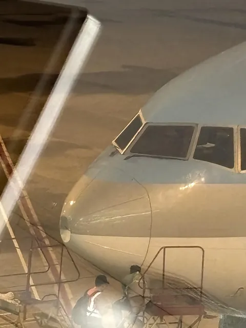 Plane nose dented by a bird strike on landing