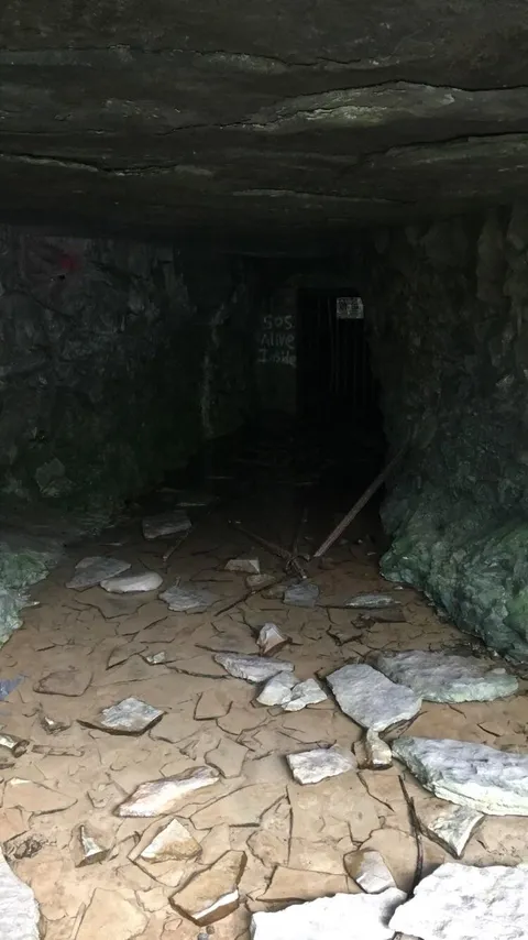 “SOS alive inside”