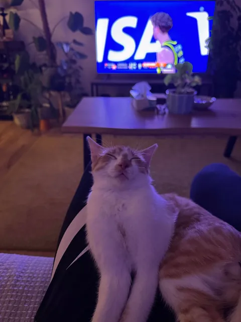 Yeah this guy likes to fall asleep on my lap