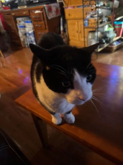 she was my best friend for 16 years…