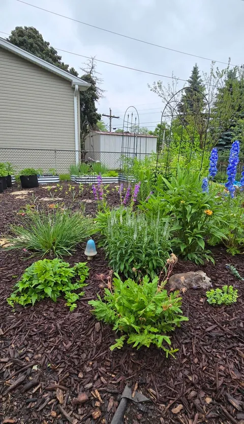 Transformed a small space behind my garage into my dream garden🌻2023 vs. 2024 