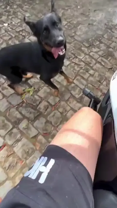 He's trying to bite out of social pressure