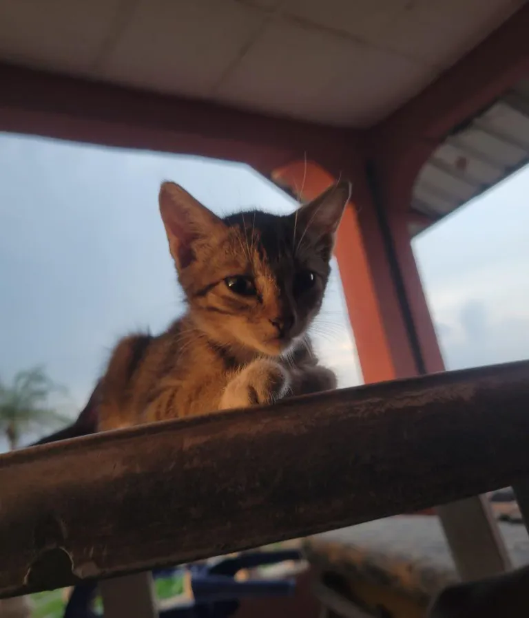 Oh my God! My heart is melting 🥹🥹