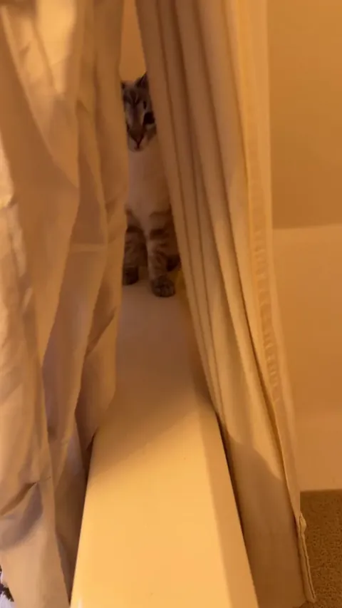 Matilda hiding in the shower