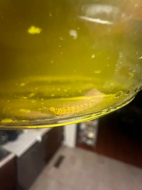 I found a worm in the jar of pickles I just ate