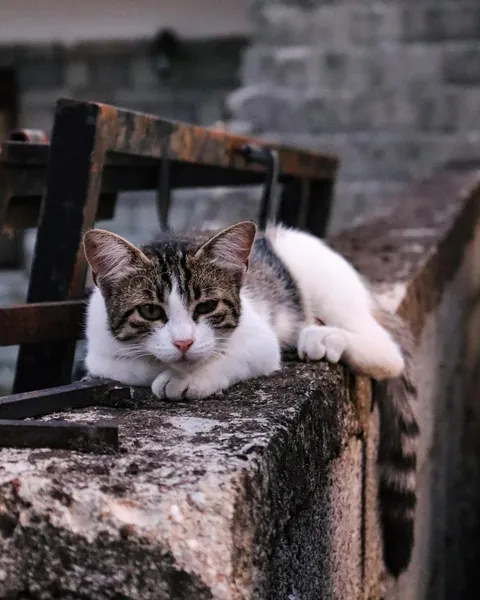 A very cozy cottage stay in Meteora Greece 🇬🇷